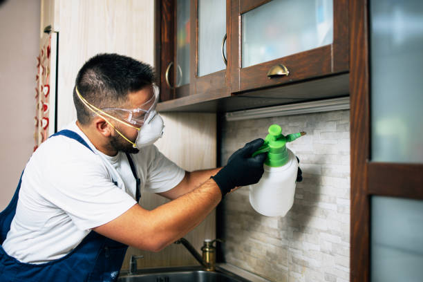 Best Best Pest Control Companies  in Lake Mohegan, NY
