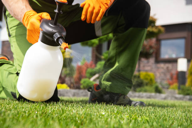 Best Local Pest Control Services  in Lake Mohegan, NY