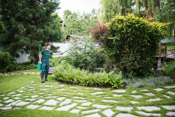 Best Residential Pest Control  in Lake Mohegan, NY