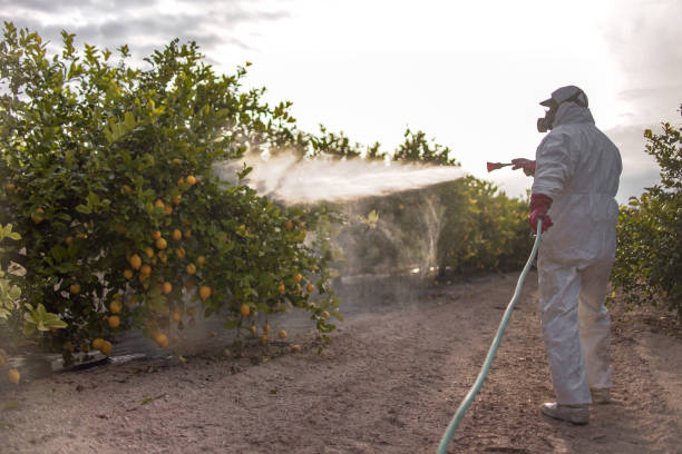 Best Wasp Removal Services  in Lake Mohegan, NY